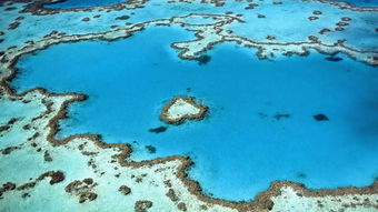 探秘世界最大的珊瑚礁——大堡礁之旅，一场视觉与心灵的盛宴！
