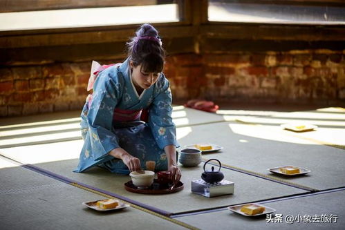 东京传统文化：茶道、和服、花道、饮食与武道的魅力