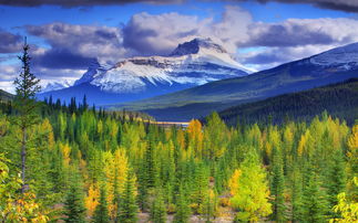 加拿大自然美景的壮丽赞歌
