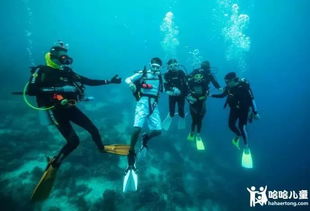 东南亚潜水圣地：探索神秘的水下世界