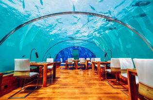 海底或空中特殊体验餐厅，海底/空中特殊体验餐厅