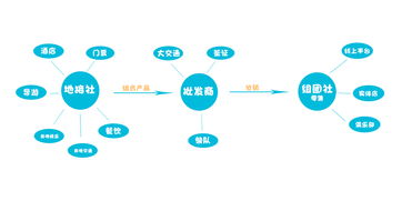 国内外旅行社的定义和分类有何异同?