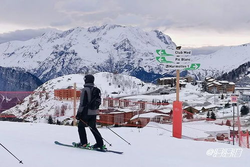 阿尔卑斯山滑雪场在哪个城市啊