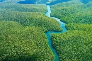 南美洲热带雨林探险指南是什么