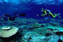 世界上最大的珊瑚礁区位于