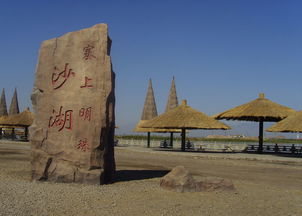 中国自然保护区名录杭锦旗大漠沙湖天鹅自然保护区