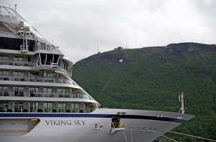 遇险挪威邮轮安全抵达港口，超1300人全部上岸