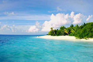 马尔代夫的岛多少钱一个